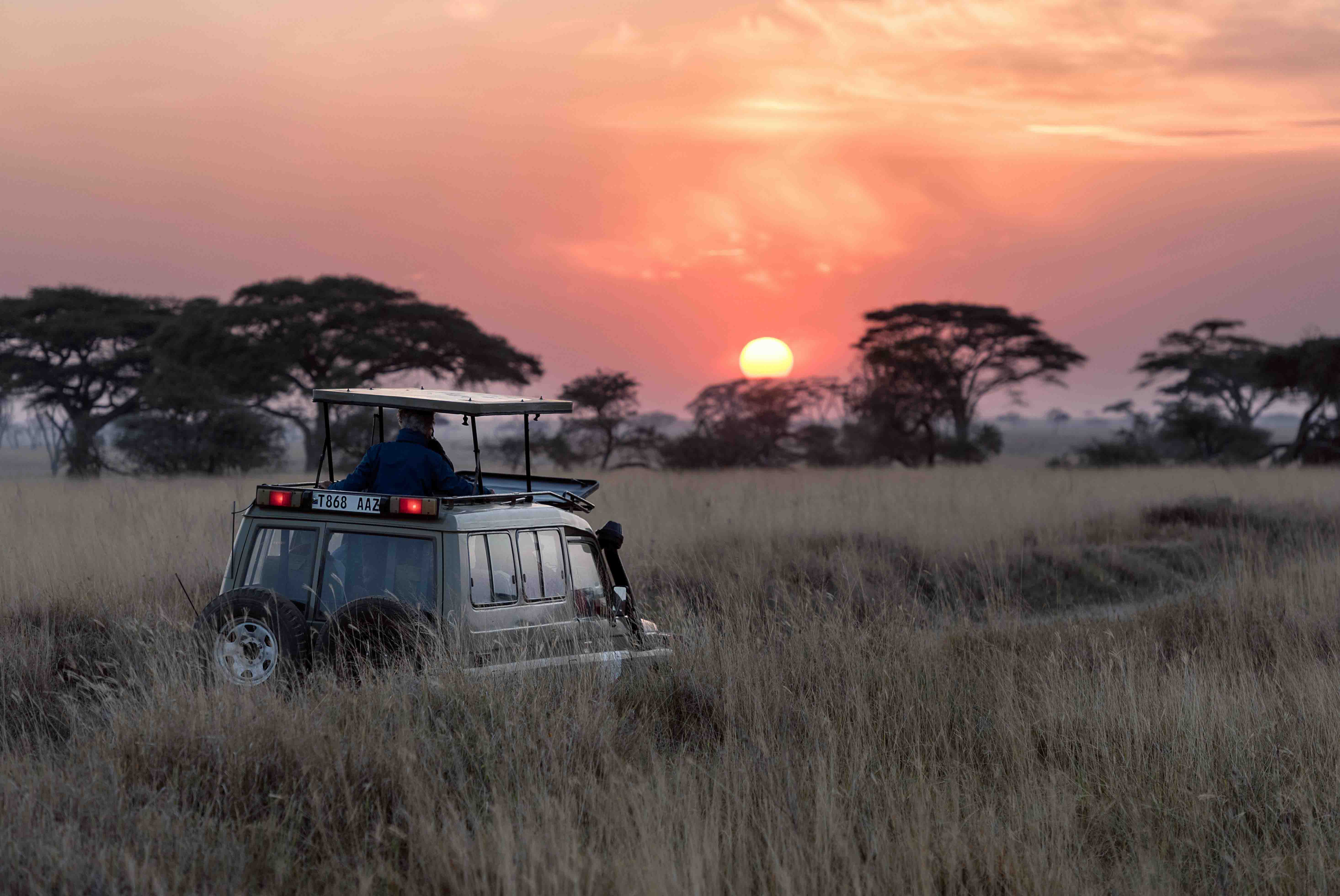 Customizable Safari Package