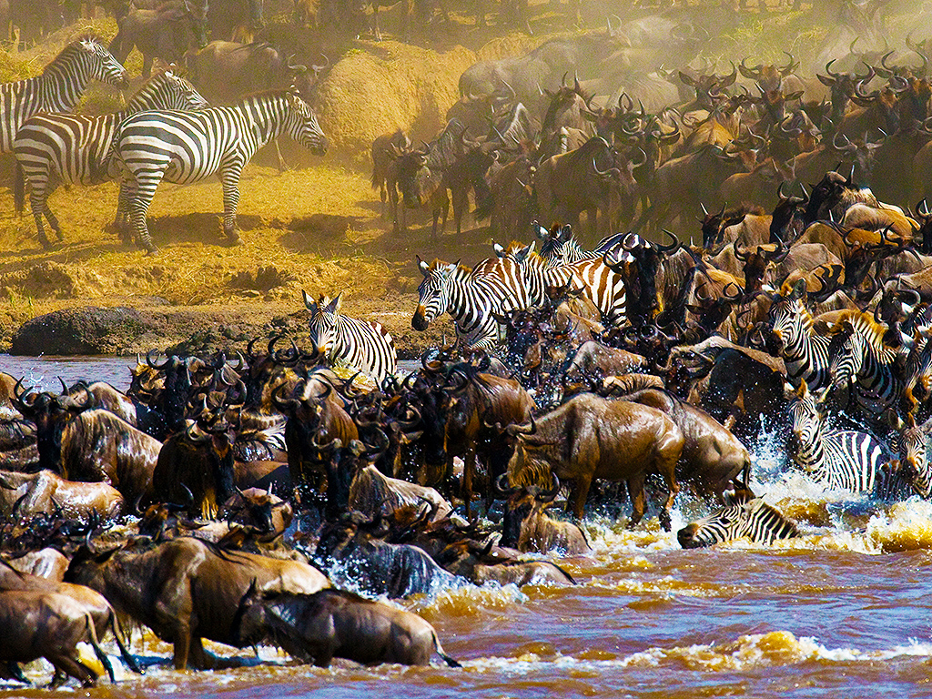 Northern Serengeti