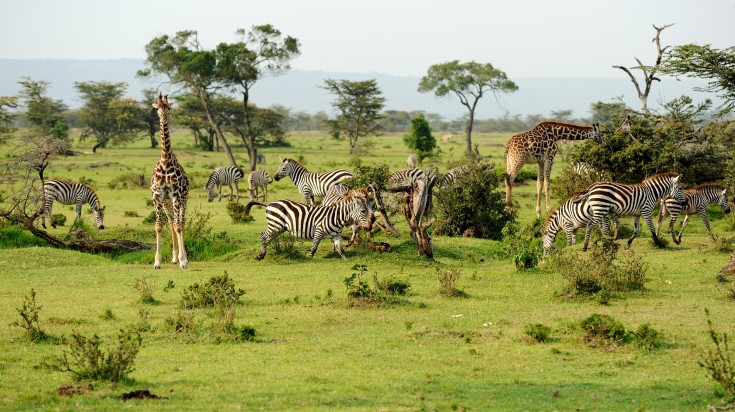 A view across Mikumi’s open landscape.