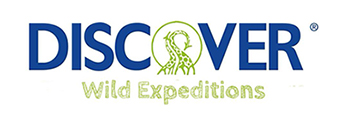 Discover Wild Expeditions Logo