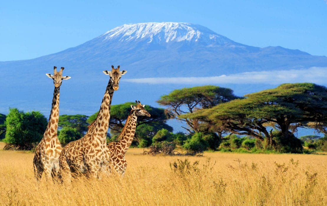 Mount Kilimanjaro Trek